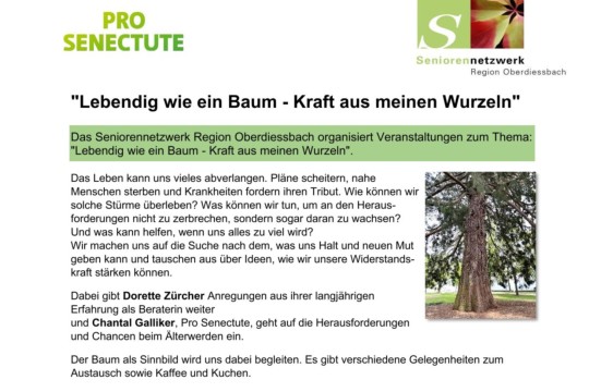 Lebendig wie ein Baum-Kraft aus meinen Wurzeln-1.jpg